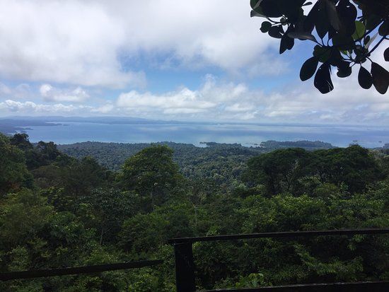 Brownsberg Nature Park